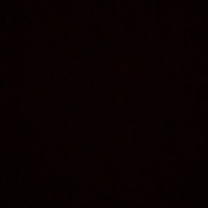 Meet your Posher, Lillian